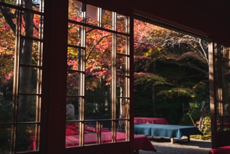 Matsu, Tatami Room with Garden View