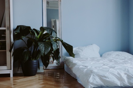 Take, Japanese-Modern Room with Futon